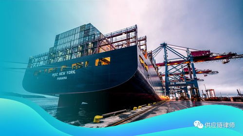 從請求權基礎視角探析貨損語境下簽署貨運代理合同是否必然成立貨運代理合同關系